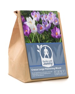 Garden With Jonny Crocus Large Flowering Mixed