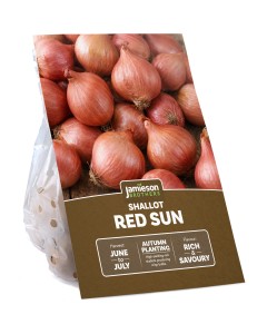 Red Sun Shallots 8 pack Autumn Planting Sets