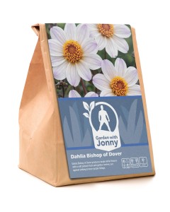 Dahlia Bishop of Dover (1 Bulb)