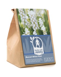 Garden with Jonny Muscari White Pearl 20 Bulbs