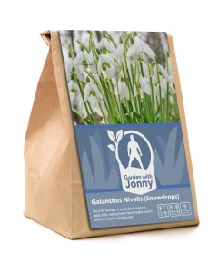 Garden with Jonny Galanthus Nivalis 16 Bulbs