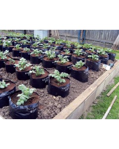 Pack of 5 Polypots Polythene Poly Plant Pot Grow Bags , lightweight re-usable pots that holds up to 20 litres of compost by Jamieson Brothers