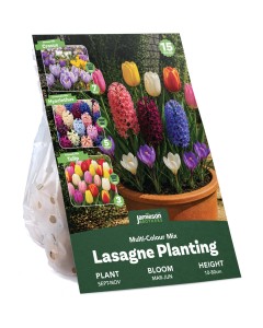 Multi-Colour Spring Flowering Lasagne Bulb Planting Kit - Layered Perennial Flower Bulbs for Garden Pots & Containers, Mixed Tulips, Crocus & Alliums – by Jamieson Brothers