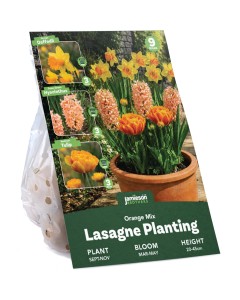Orange Spring Flowering Lasagne Bulb Planting Kit - Layered Perennial Flower Bulbs for Garden Pots & Containers, Mixed Tulips, Daffodils & Hyacinths – by Jamieson Brothers