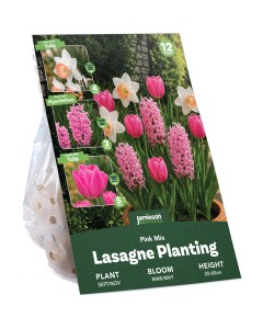 Pink Spring Flowering Lasagne Bulb Planting Kit - Layered Perennial Flower Bulbs for Garden Pots & Containers, Mixed Tulips, Daffodils & Hyacinths – by Jamieson Brothers