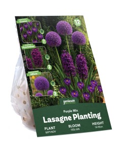 Purple Spring Flowering Lasagne Bulb Planting Kit - Layered Perennial Flower Bulbs for Garden Pots & Containers, Mixed Crocus, Hyacinths & Alliums – by Jamieson Brothers