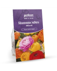 Ranunculus Mixed Bulbs (40 Bulbs) - Flower Bulbs by Jamieson Brothers