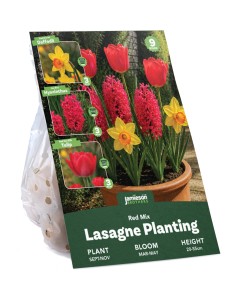 Red Spring Flowering Lasagne Bulb Planting Kit - Layered Perennial Flower Bulbs for Garden Pots & Containers, Mixed Tulips, Daffodils & Hyacinths – by Jamieson Brothers