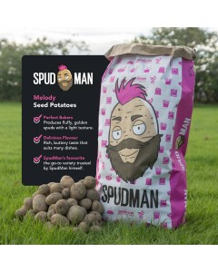 SpudMan Melody Seed Potatoes
