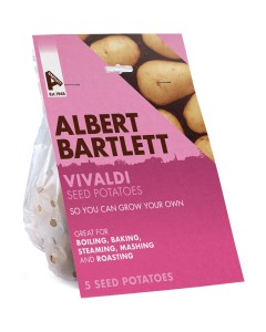 Albert Bartlett Vivaldi 5-Tuber Pack Seed Potatoes