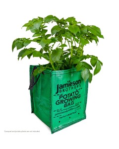 Potato Planter Grow Bags for growing Vegetables all year round 18"x12"x12" 