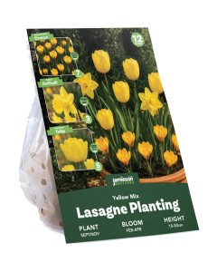 Yellow Spring Flowering Lasagne Bulb Planting Kit - Layered Perennial Flower Bulbs for Garden Pots & Containers, Mixed Tulips, Daffodils & Crocus – by Jamieson Brothers