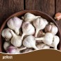 Jamieson Brothers® Autumn Pink Garlic Bulbs - 4pcs