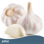 Jamieson Brothers® White Garlic - 4 Bulbs