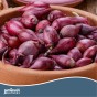 Jamieson Brothers® Red Sun Shallot Sets
