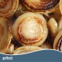 Jamieson Brothers Stuttgarter Giant Onion Sets - 100 pack