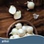 Jamieson Brothers® Snowball Onion Sets