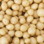 SpudMan Summer Planting Kit – Charlotte (6 Seed Potatoes + 3 Planter Bags) – Perfect for a Winter Yield of Boiling Potatoes