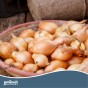 Jamieson Brothers® Golden Gourmet Shallot Sets