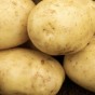 Albert Bartlett Elfe Seed Potatoes - 2KG net (approx 20-25 tubers)