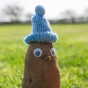Potato Personality Kit with Tiny Woolly Hat - Random Colour Selection - Frost Protection for Your Potato