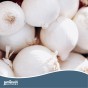 Mixed Spring Onion Sets 3 packs (Sturon, Snowball and Red Baron) by Jamieson Brothers -  Bulb Size 14/21