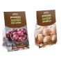 Mixed Winter Onion Sets 2x250gm (Senshyu and Red Winter) by Jamieson Brothers® -  Bulb Size 14/21