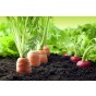 Biochar Soil Improver 4L Box - Organic