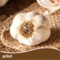 Jamieson Brothers® Autumn White Garlic Bulbs - 4pcs