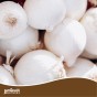 Mixed Winter Onion Sets 3-Pack (750g, Approx. 150 Bulbs) Red Winter, Senshyu and Snowball for Planting Now in UK Autumn by Jamieson Brothers