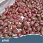 Mixed Spring Onion, Shallots and Garlic Mega Pack by Jamieson Brothers 