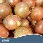 Jamieson Brothers® Golden Gourmet Shallot Sets - 8 pack