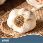 Jamieson Brothers® White Garlic - 4 Bulbs
