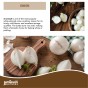 Snowball Winter Onion Sets (250gm) by Jamieson Brothers® - Bulb Size 14/21