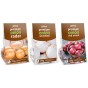 Jamieson Brothers® Autumn Pink Garlic Bulbs - 4pcs
