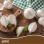 Snowball Winter Onion Sets (250gm) by Jamieson Brothers® - Bulb Size 14/21