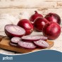 Jamieson Brothers® Red Baron Onion Sets - 200 pack