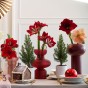 Deluxe Amaryllis Red (1 bulb) - Gift Box by Jamieson Brothers 