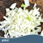 Jamieson Brothers Golden Gourmet Shallot Sets - 32 pack
