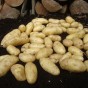 Belle De Fontenay Seed Potatoes - 8 Tuber