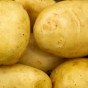 Accord Seed Potatoes - 20KG