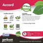 Accord Seed Potatoes - 2KG net (approx 20-25 tubers)