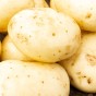Acoustic Seed Potatoes - 20kg