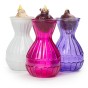 Hyacinth Pink Bulb in Vase (1bulb) - Gift Box by Jamieson Brothers 