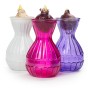 Multipack - Hyacinth Bulbs in Blue, Pink and White Vases (3 bulb packed seperately) - Gift Boxes by Jamieson Brothers®