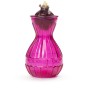Hyacinth Pink Bulb in Vase (1bulb) - Gift Box by Jamieson Brothers 