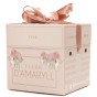 Amaryllis Pink (1 bulb) - Gift Box by Jamieson Brothers 