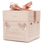 Deluxe Amaryllis Pink (1 bulb) - Gift Box by Jamieson Brothers 