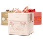 Amaryllis Pink (1 bulb) - Gift Box by Jamieson Brothers 