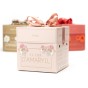 Deluxe Amaryllis Pink (1 bulb) - Gift Box by Jamieson Brothers 